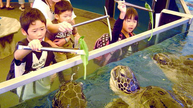 ふれあい体験に餌やり体験！距離の近さが魅力です♪